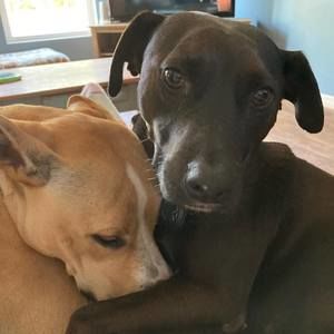 Meet your Posher, Jacqueline